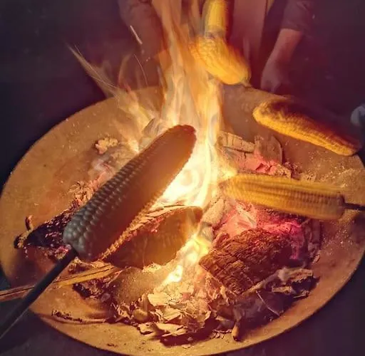 Comfortable 3- Bedroom With Free Parking Villa Roslev